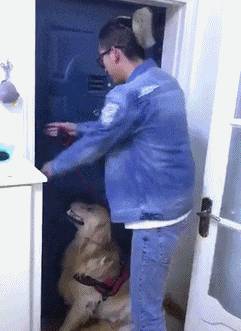 135023femlmg2uj2k7rk2b.gif