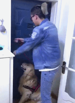 c6a1f210a0360e73a948a04b61ca180f.gif
