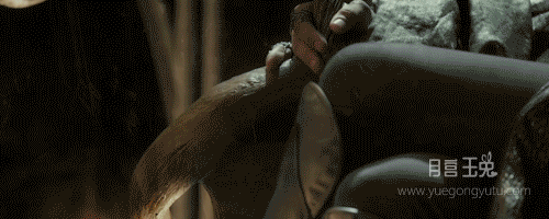 img-005PR0ougy1g2fidhitv1g30dw05k4qq.gif
