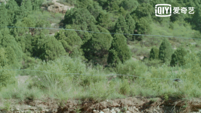 006VkJs5ly1gaym7xcareg30bc06e7wh.gif