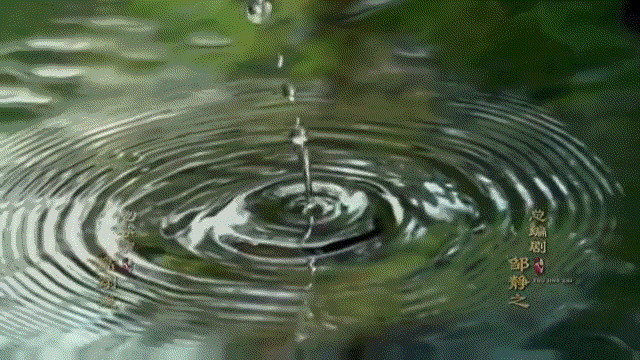 Video_20201112_102208_687.gif