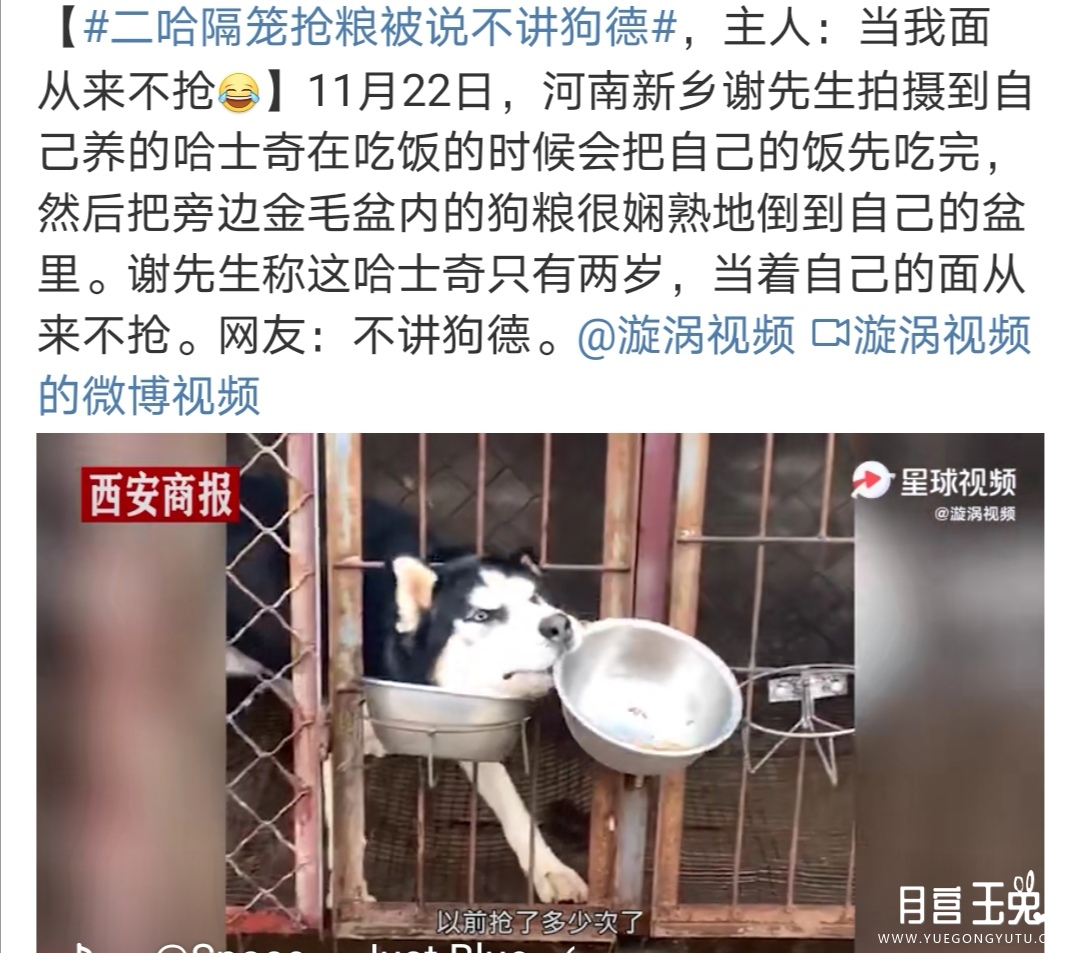 微信图片_20201123132259.jpg