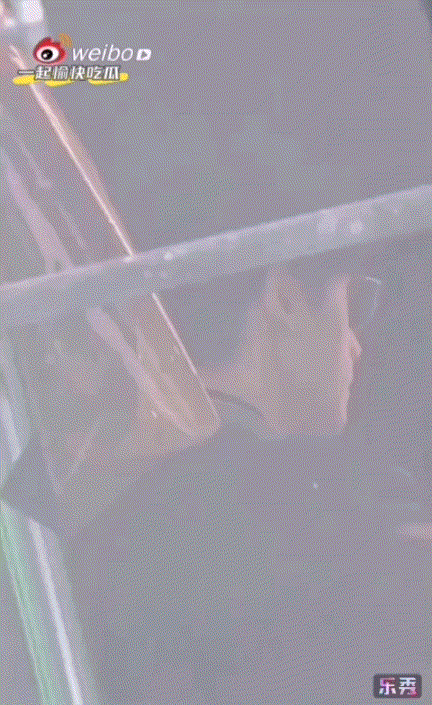 Video_20201126_080902_457.gif