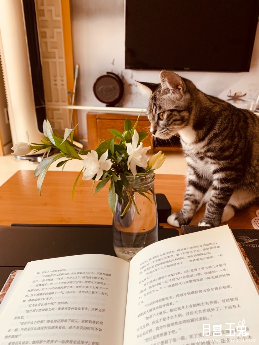 F9F69490-352F-4999-AB5C-A83D5555C5ED.jpeg