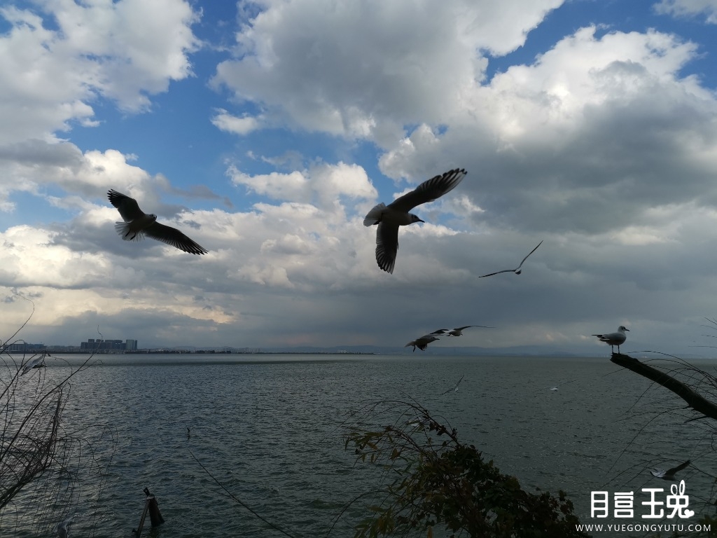 IMG_20220130_172014.jpg
