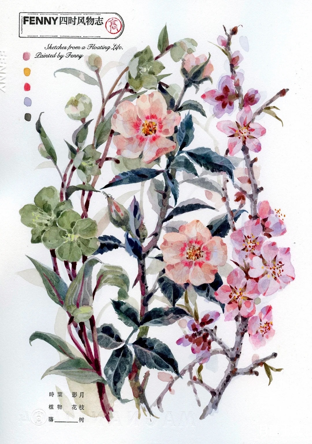 惊蛰｜Awakening of Insects_1_Fenny高广凤_来自小红书网页版.jpg