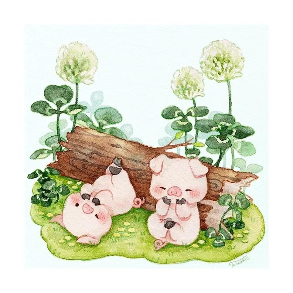 让人一见倾心的治愈画面～