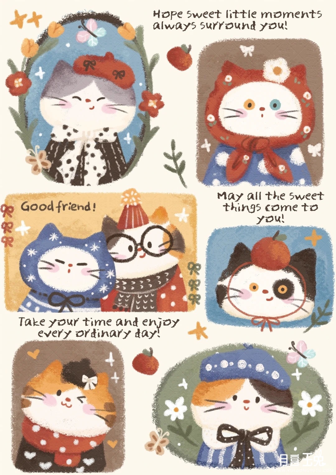 属于小猫咪的秋天