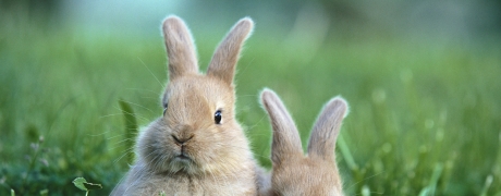 今日幸运星（中奖最多者额外再奖励）个位数